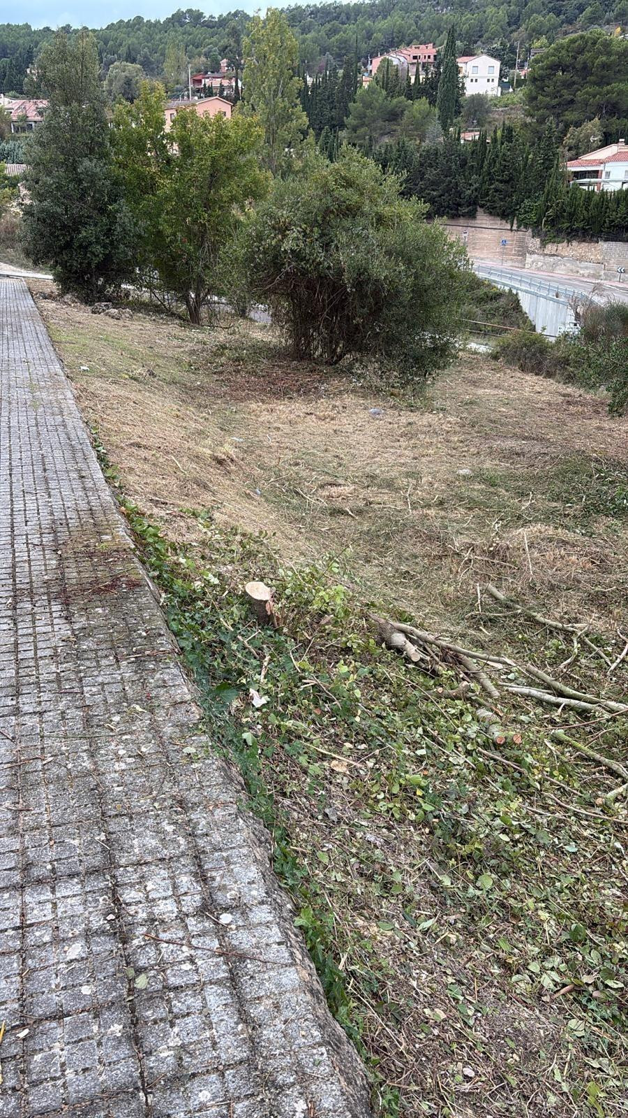 Terreno urbano en Pontons (Barcelona) - foto 4