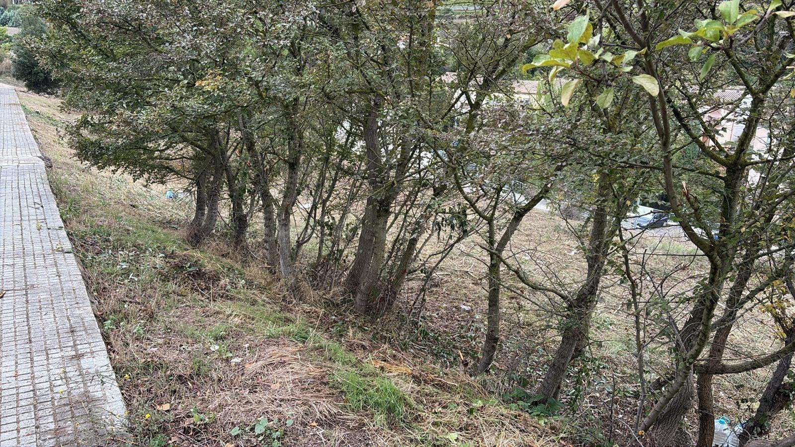 Terreno urbano en Pontons (Barcelona) - foto 5