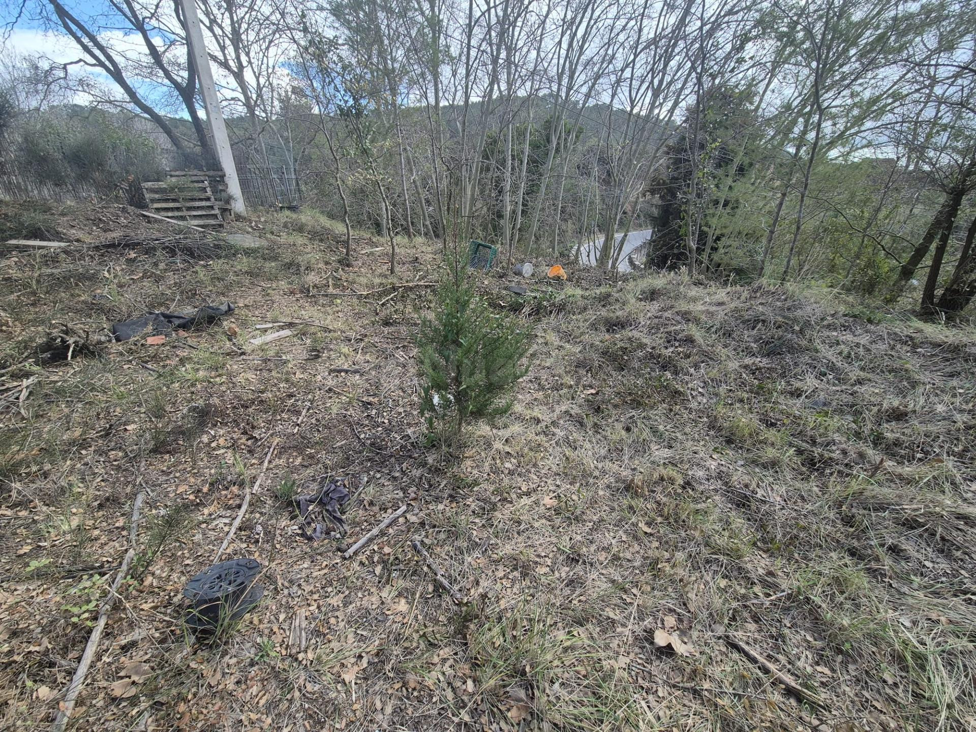 2 PARCELAS TERRENO EN AIGUAMURCIA (URB MANANTIALS) (TARRAGON - foto 3