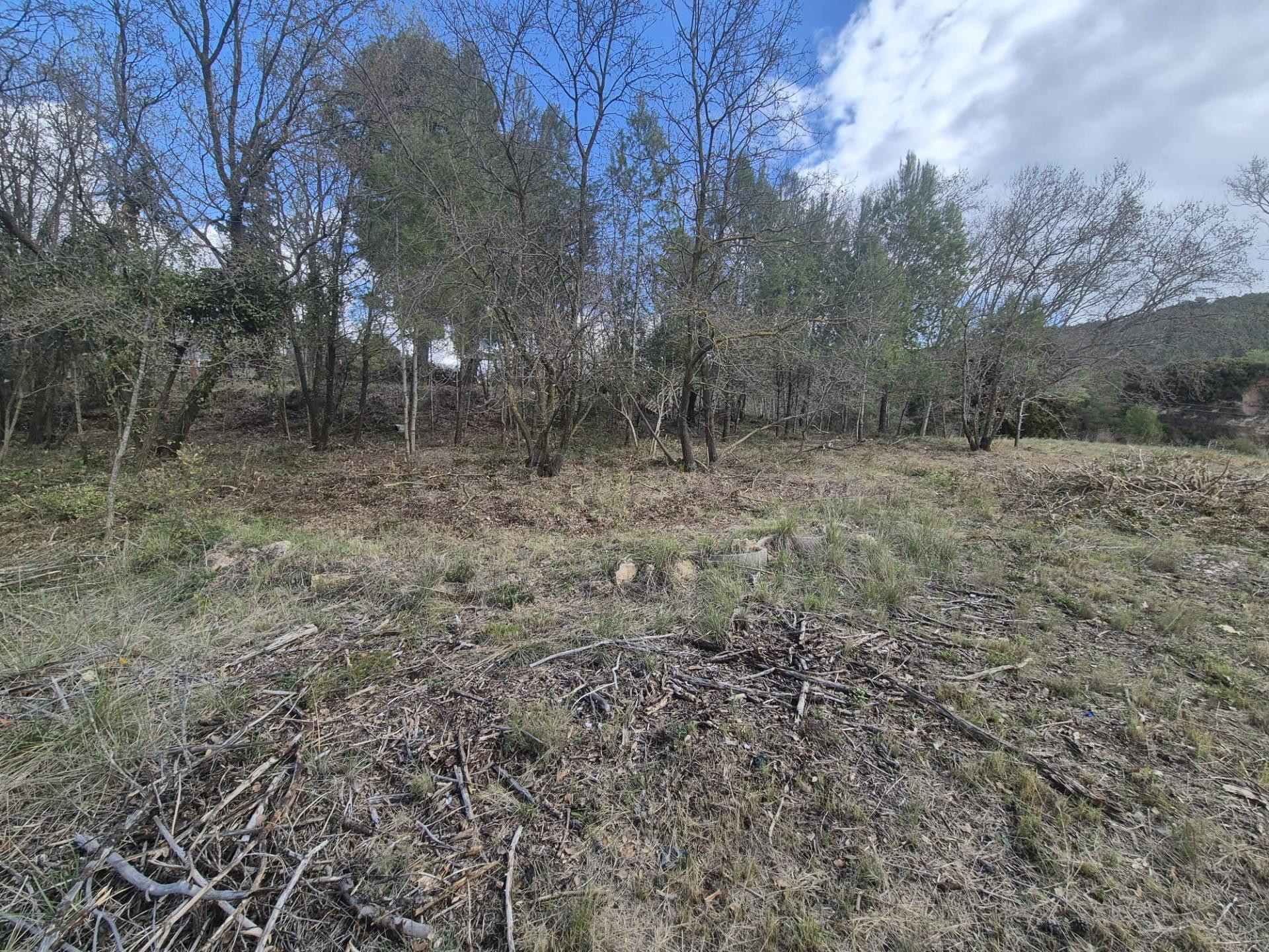 2 PARCELAS TERRENO EN AIGUAMURCIA (URB MANANTIALS) (TARRAGON - foto 4