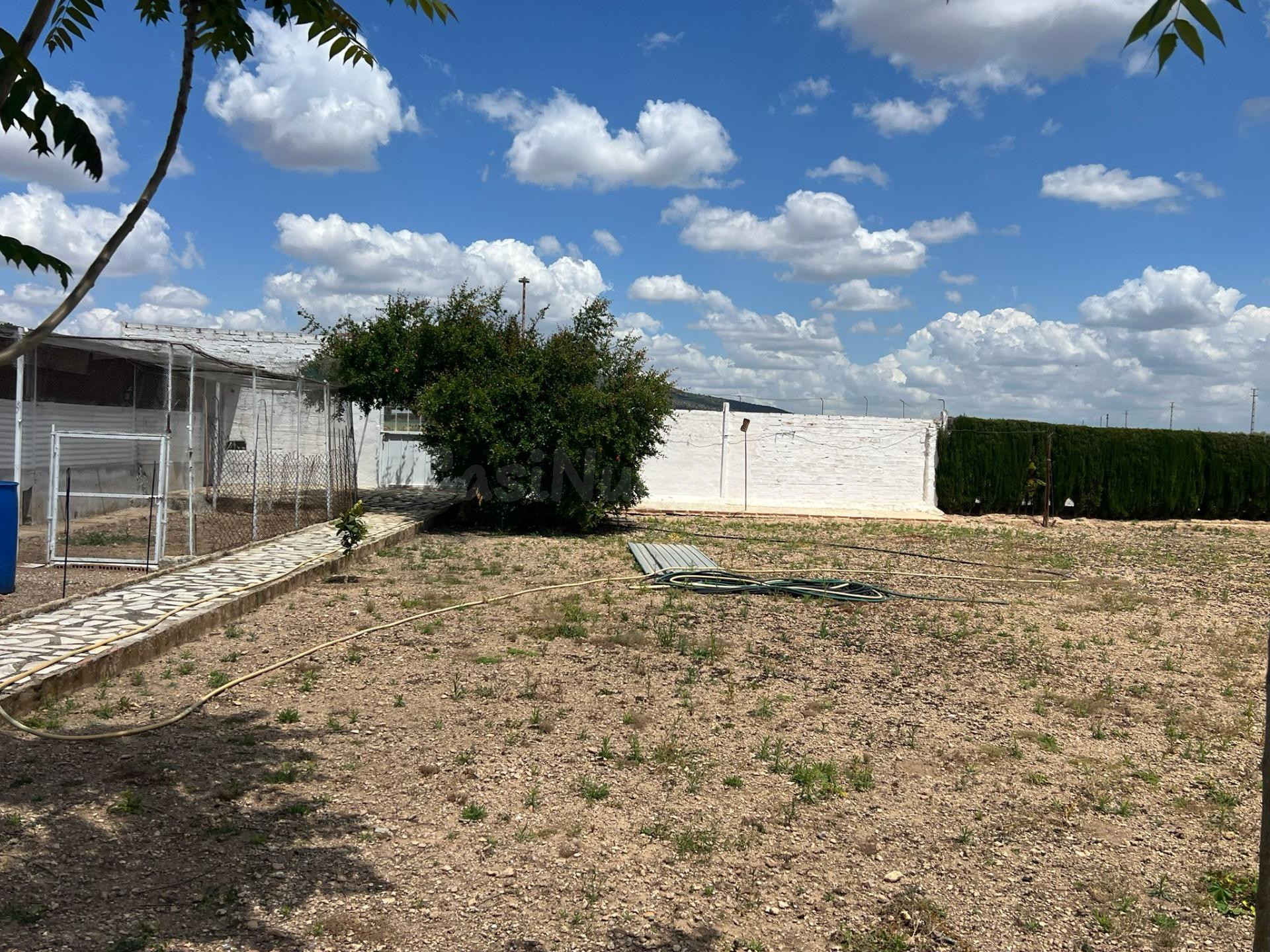 EN EXCLUSIVA PARCELA RUSTICA CON DOS VIVIENDAS EN LA ZONA DE - foto 5