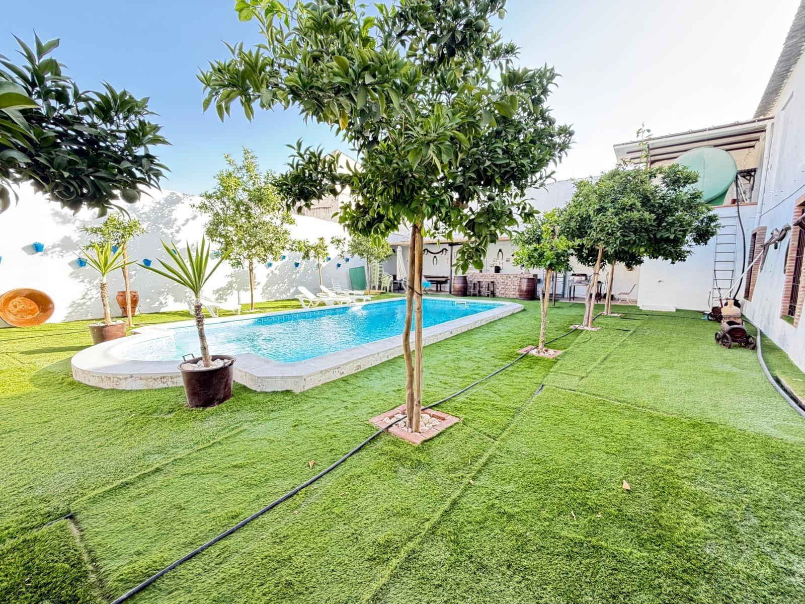 EN EXCLUSIVA PARCELA RUSTICA CON CASA EN ALAMEDA¡¡¡¡¡¡¡¡¡¡¡¡ - foto 5