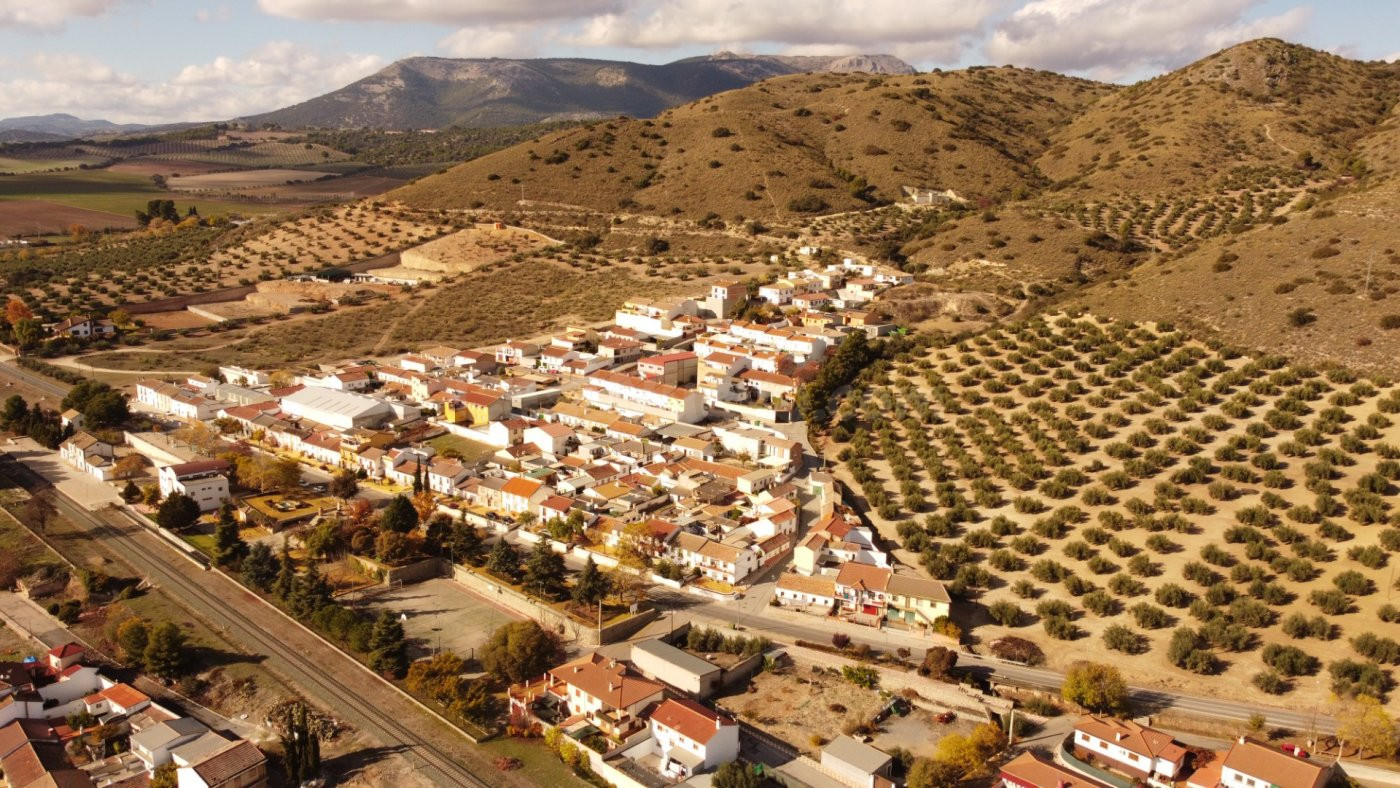 Venta de finca urbana con perspectiva de promotor, o inversi - foto 5
