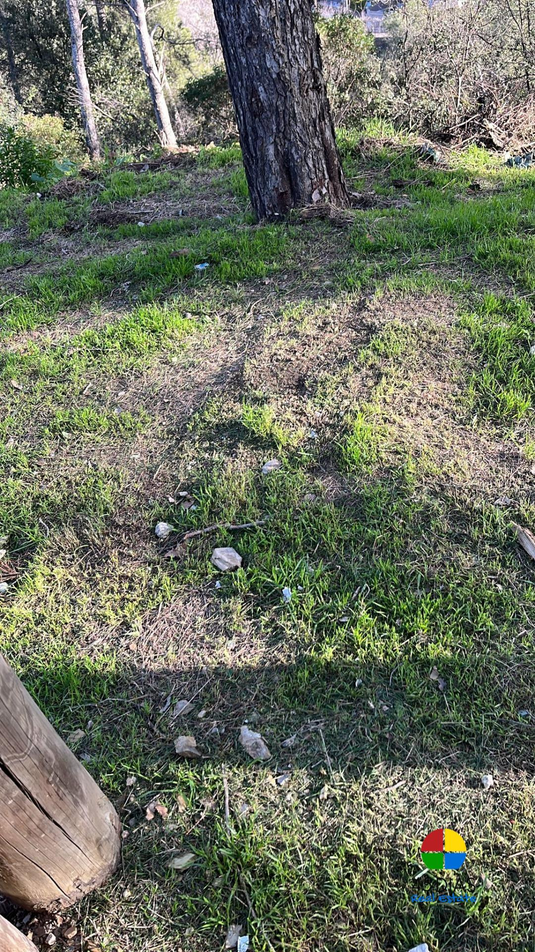 terreno exclusivo en Santa Maria de Montcada oportunidad úni - foto 2