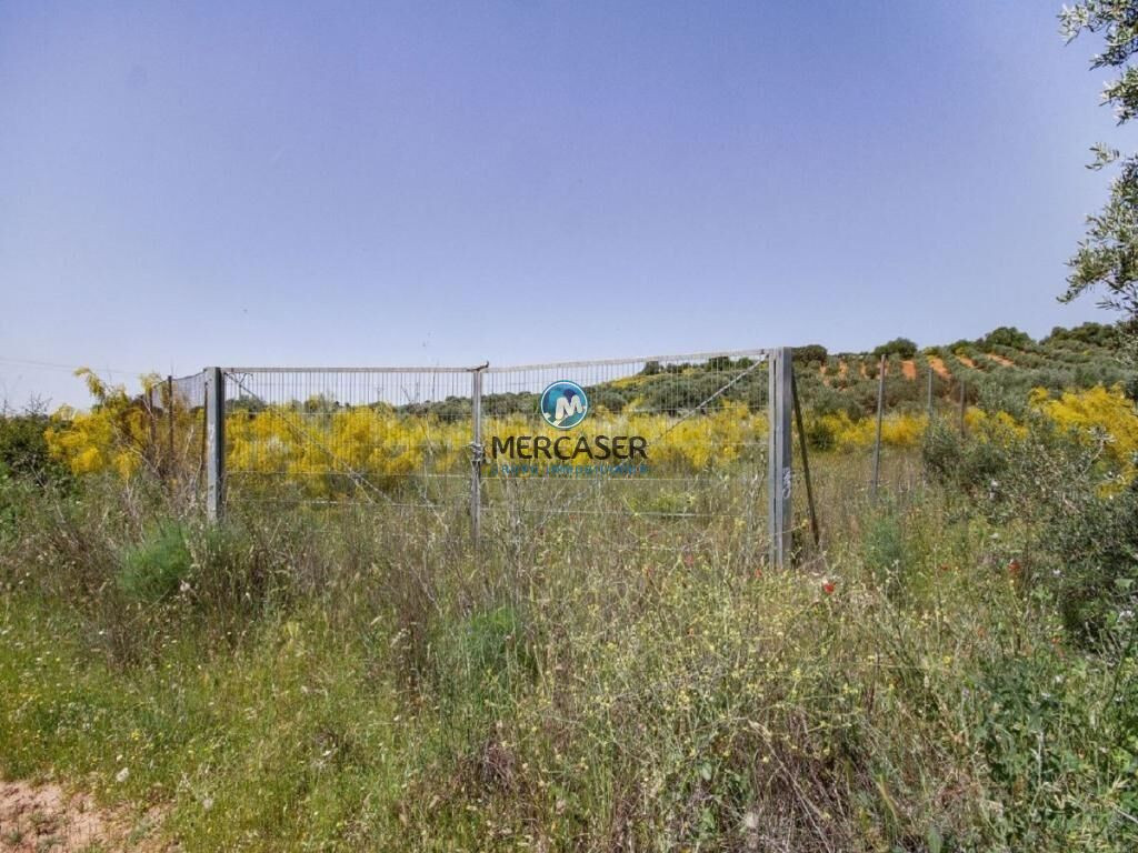 Terreno urbanizable en transformación en venta en sr-1, Caba - foto 5
