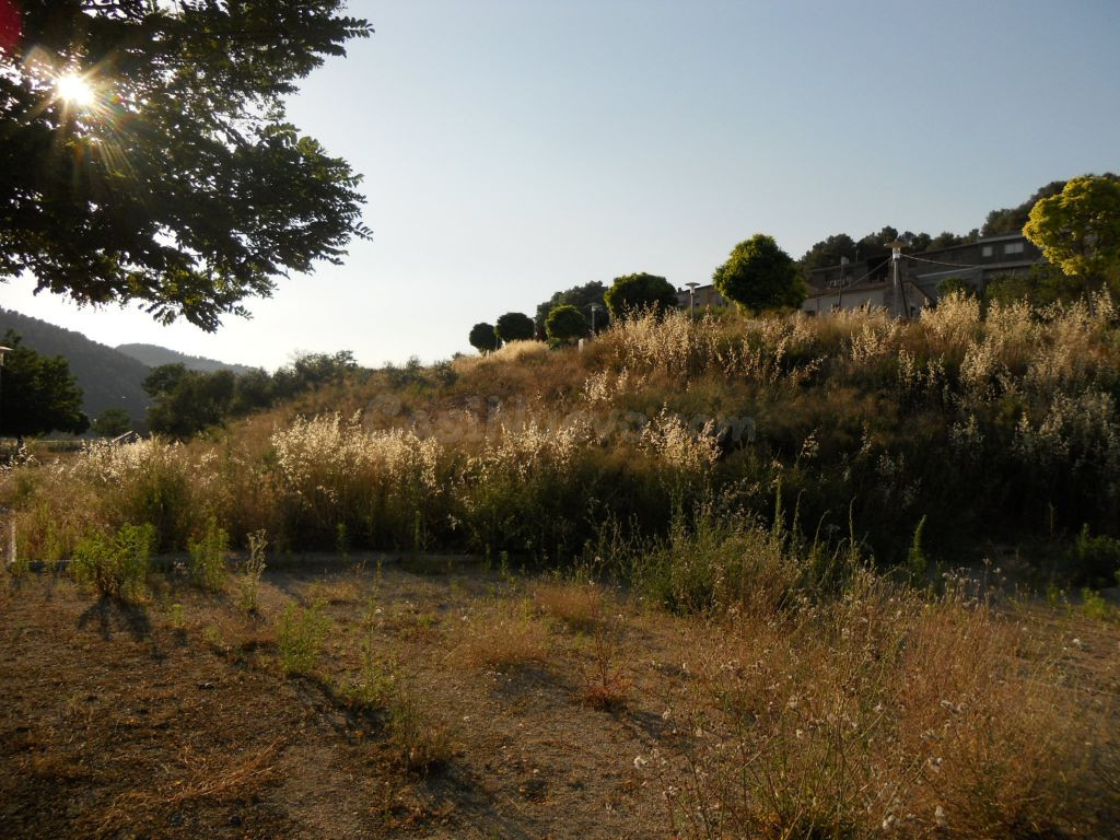 Solar en venta - Afueras - foto 4