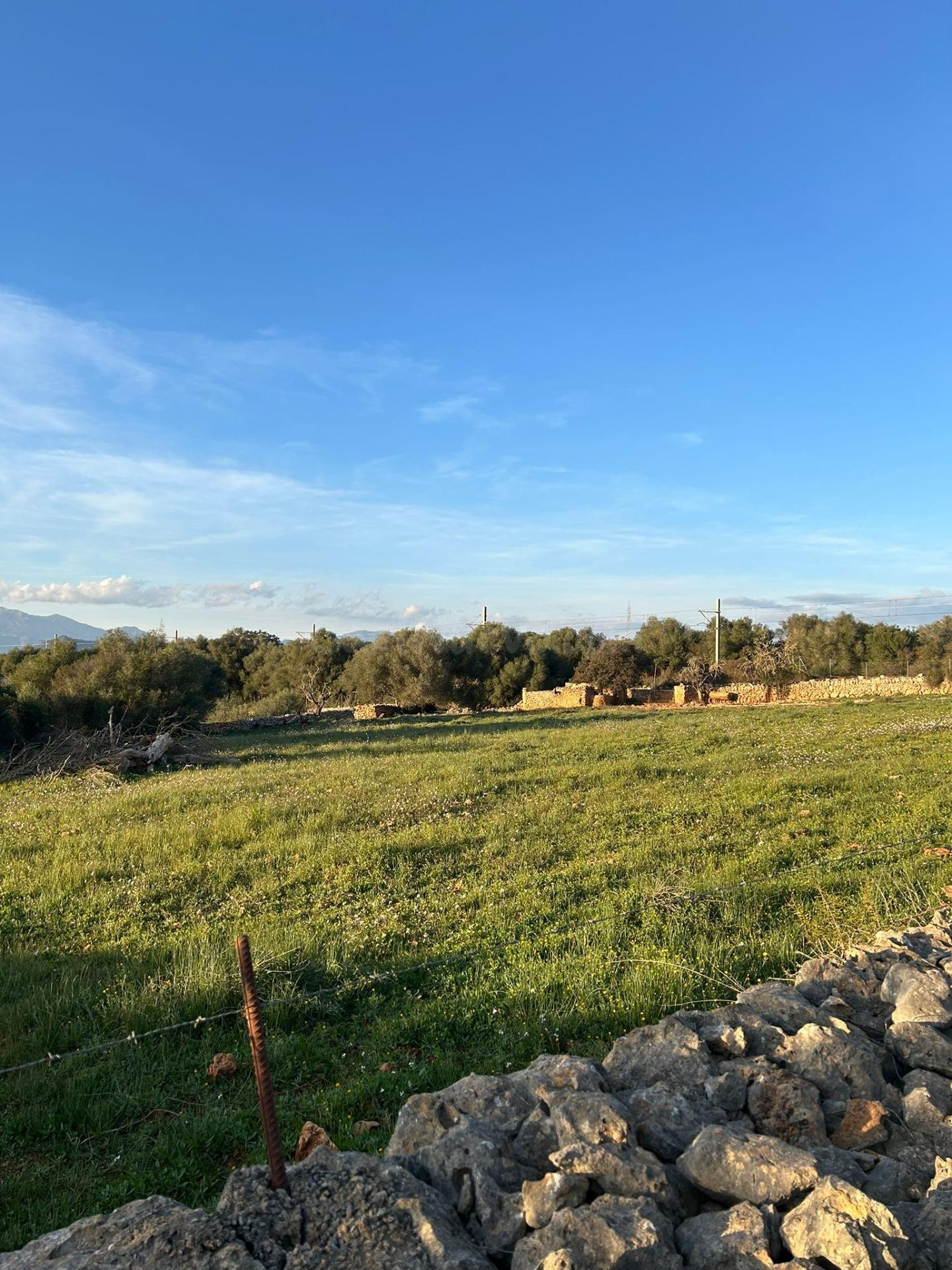 FINCA RÚSTICA EN SINEU