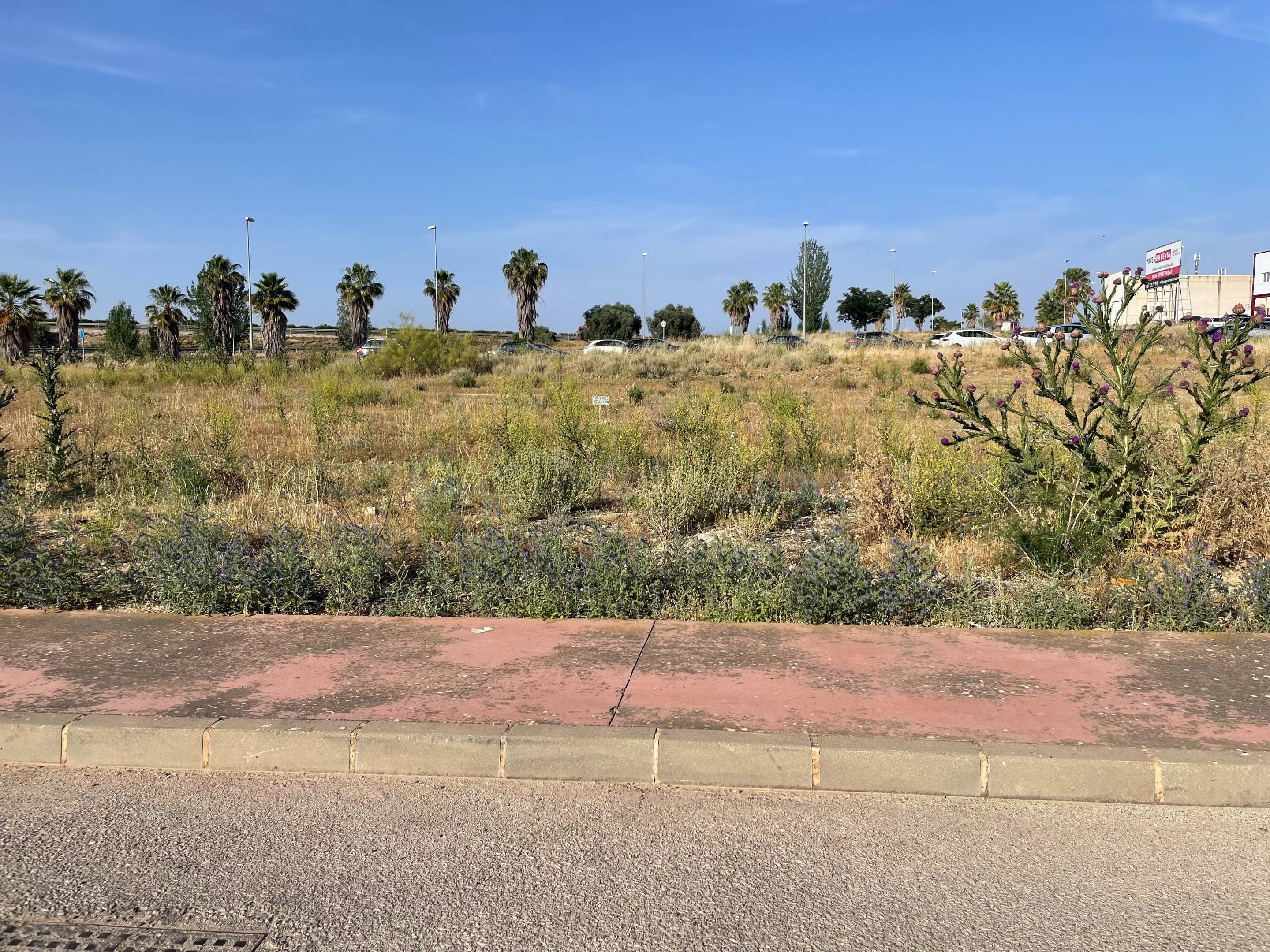 Parcela Industrial en Mollina - Oportunidad de Inversión - foto 3
