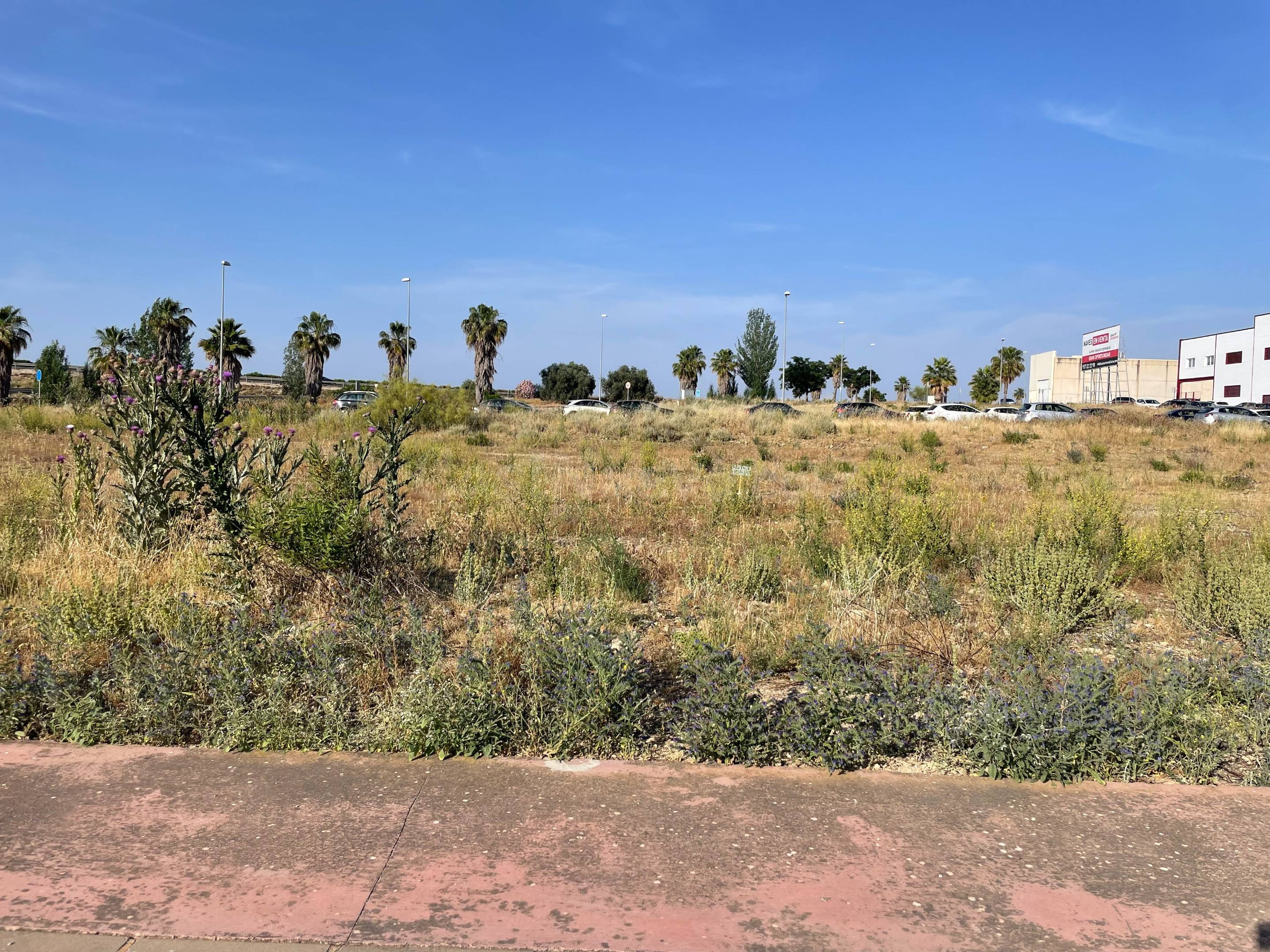 Parcela Industrial en Mollina - Oportunidad de Inversión - foto 4
