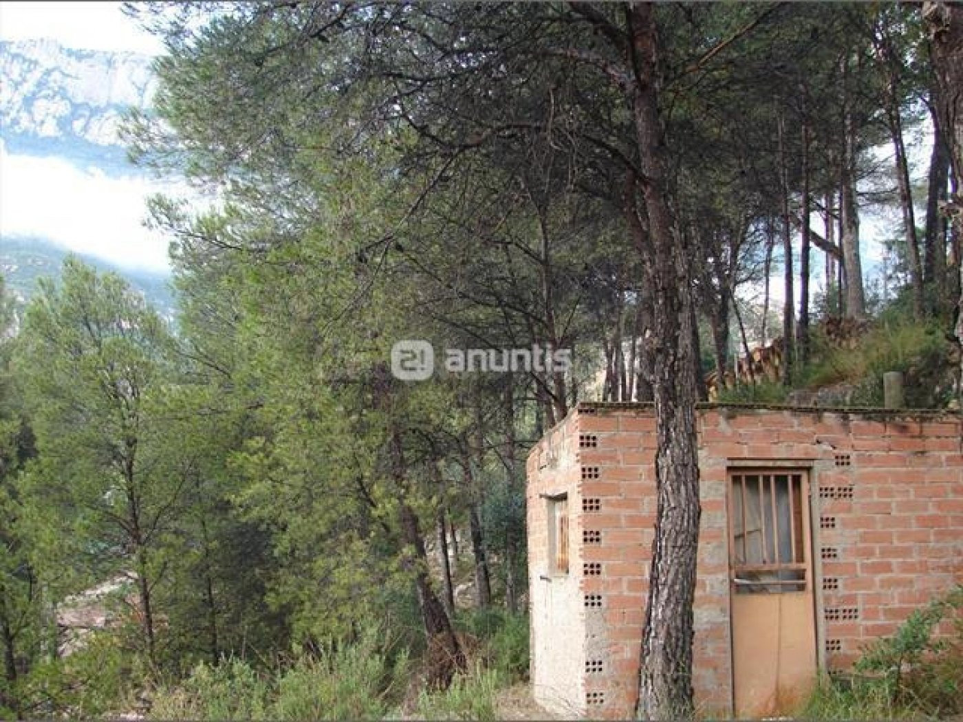 PARCELA EN VENTA EN MONISTROL DE MONTSERRAT - foto 3