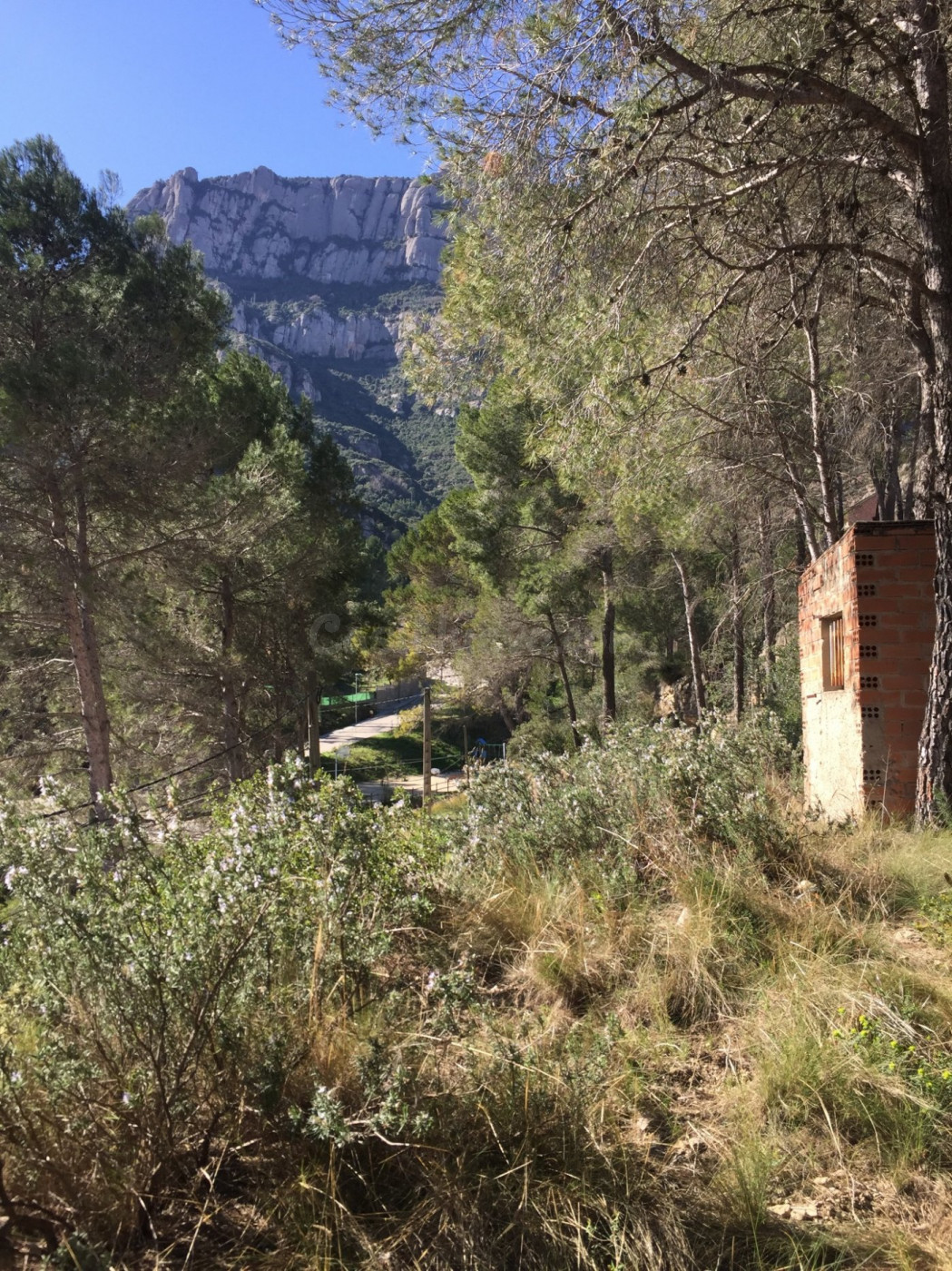 PARCELA EN VENTA EN MONISTROL DE MONTSERRAT - foto 5