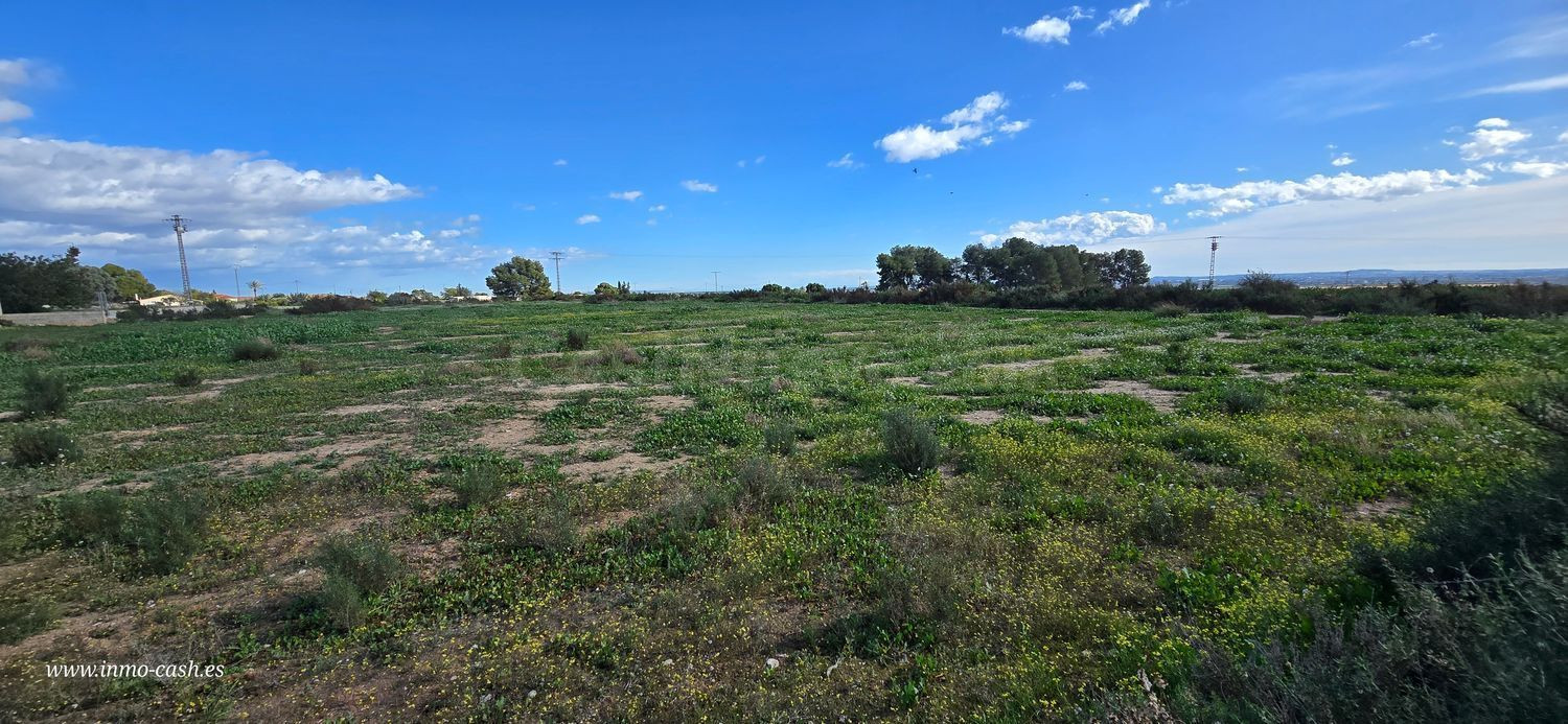 Terreno rural en venta - Comunidad valenciana - foto 2
