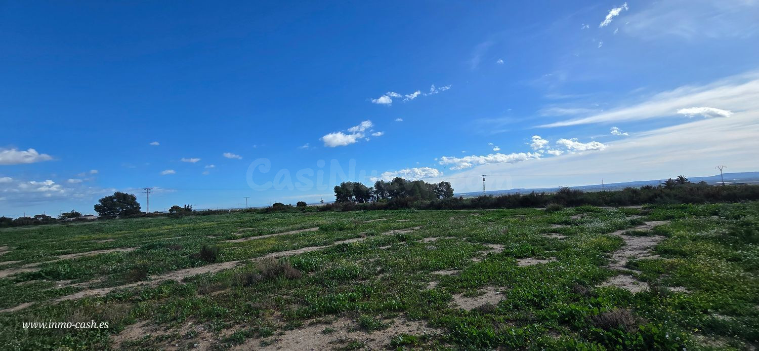 Terreno rural en venta - Comunidad valenciana - foto 3