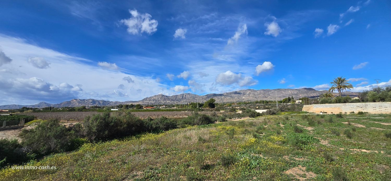 Terreno rural en venta - Comunidad valenciana - foto 5