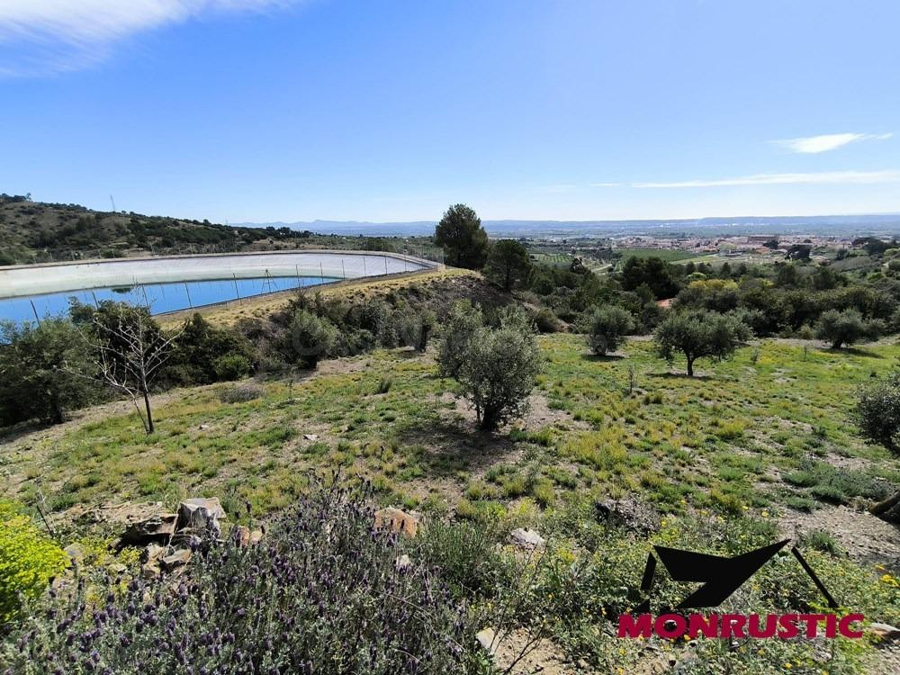 FINCA RÚSTICA DE 18.436 M2 CON AGUA PROPIA Y POSIBILIDAD DE LUZ