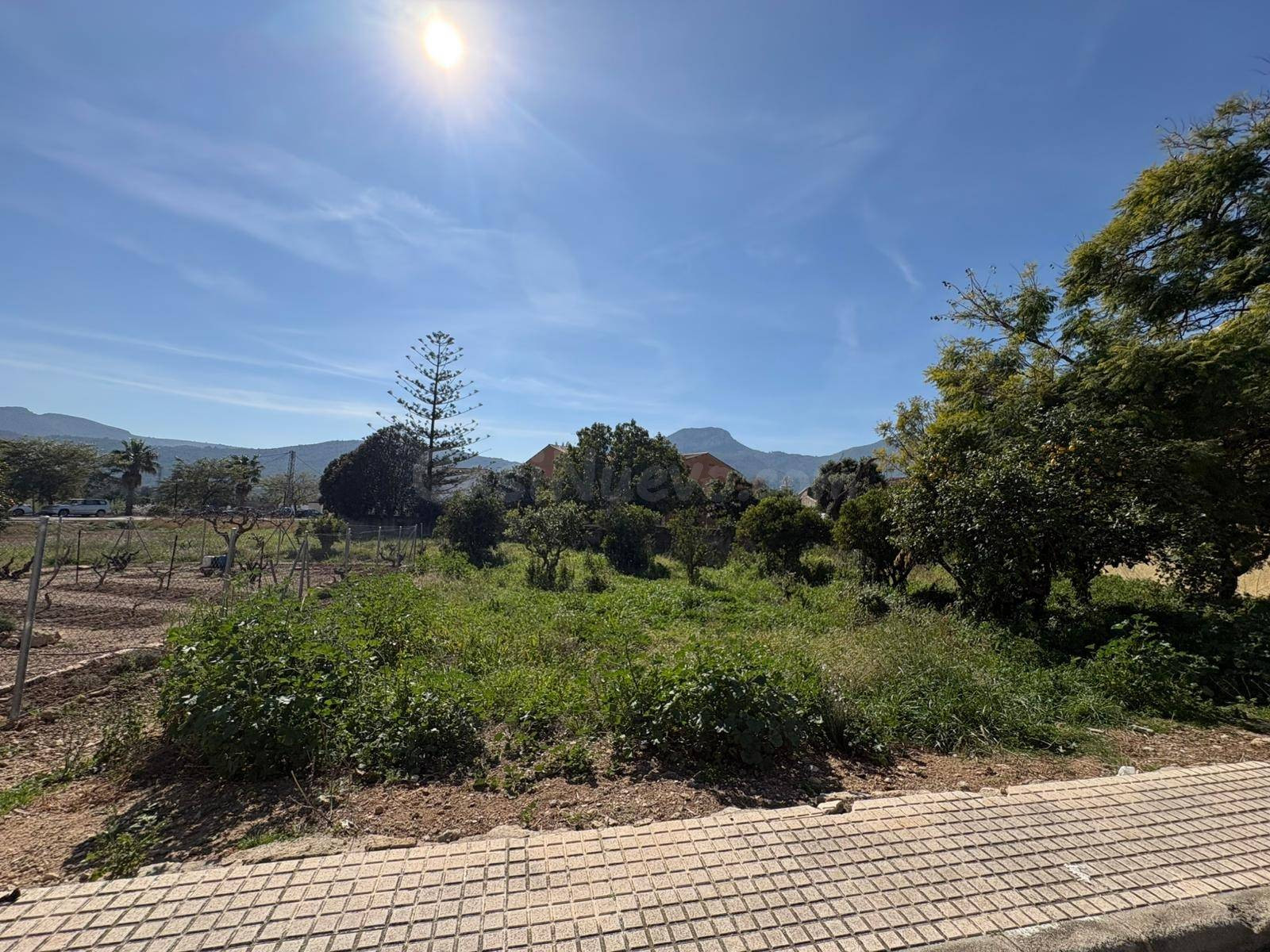 Posibilidad de chalet o adosados - Parcela urbana a la venta en Alcalalí, Valle de Jalón