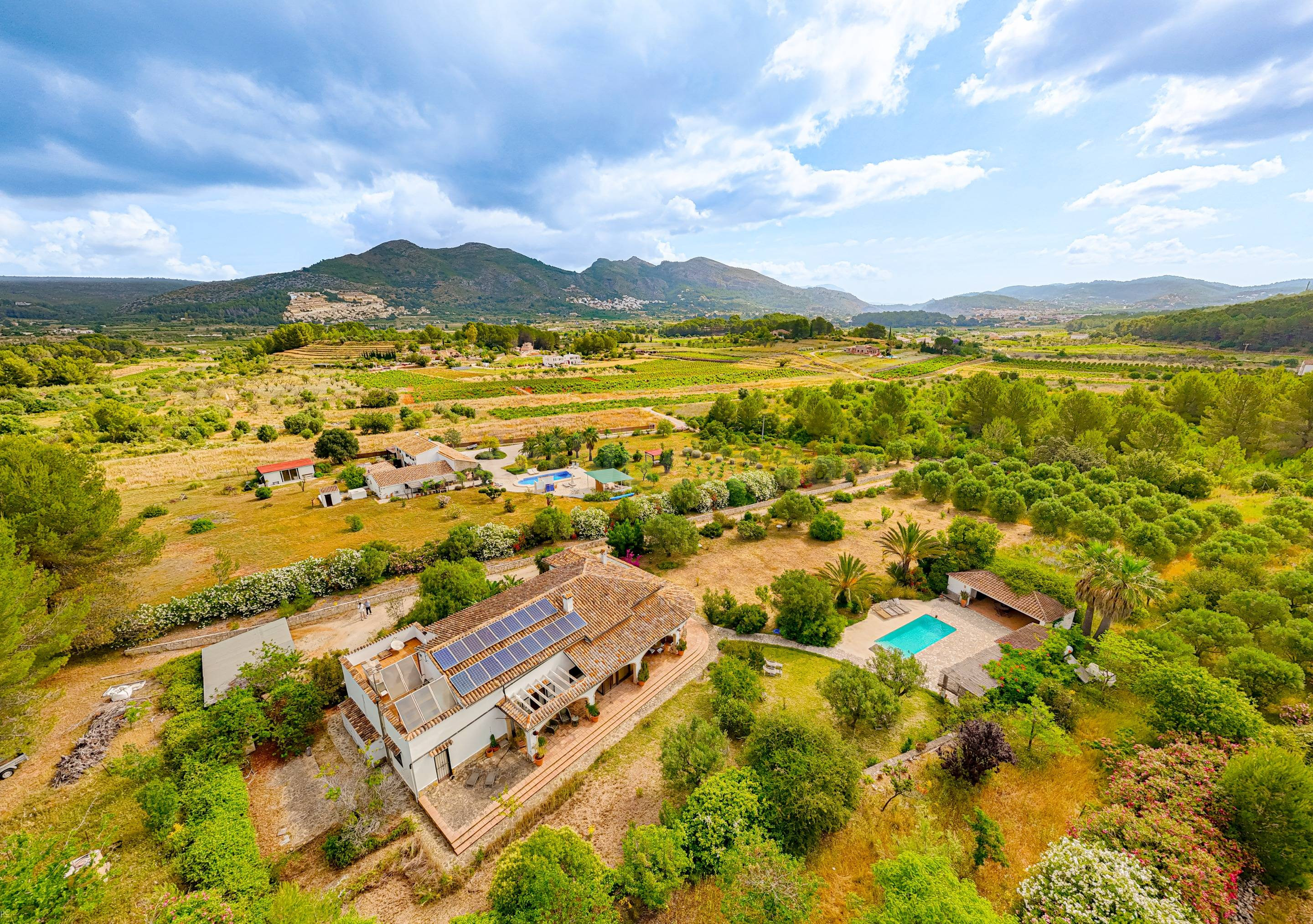 Finca Helena. Finca en venta en Jalón, a poca distancia del pueblo, con bosque propio.