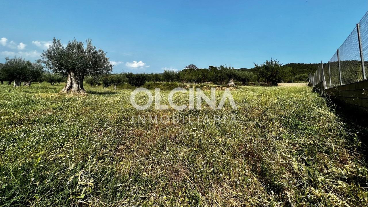 Terreno rural en venta - Els Plans