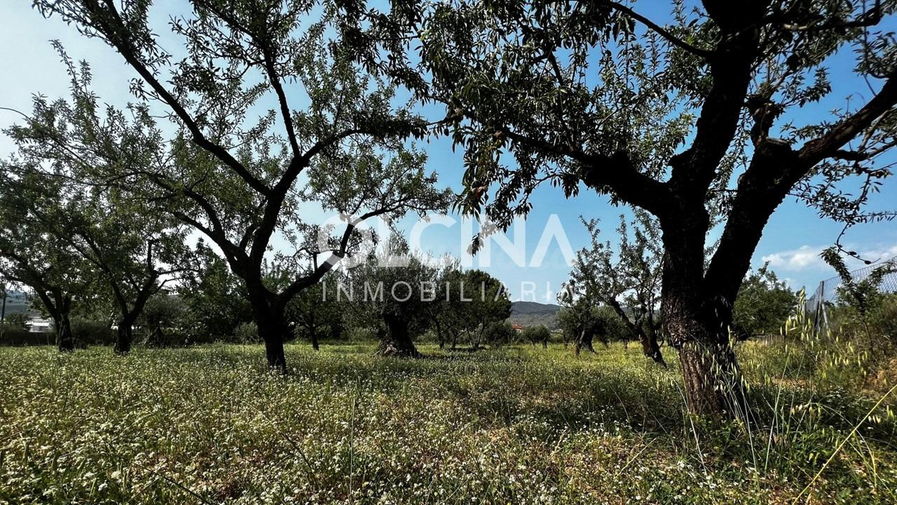 Terreno rural en venta - Els Plans - foto 3