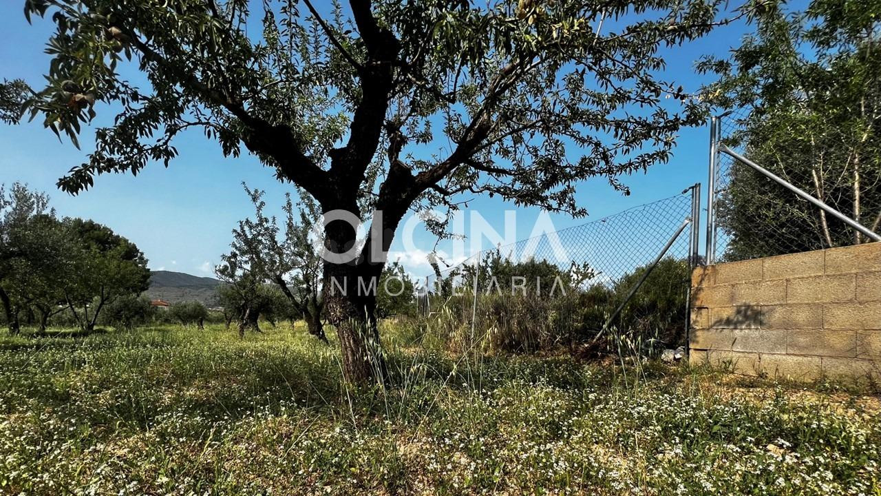 Terreno rural en venta - Els Plans - foto 4