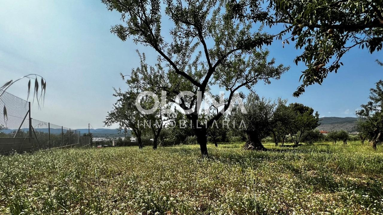 Terreno rural en venta - Els Plans - foto 5
