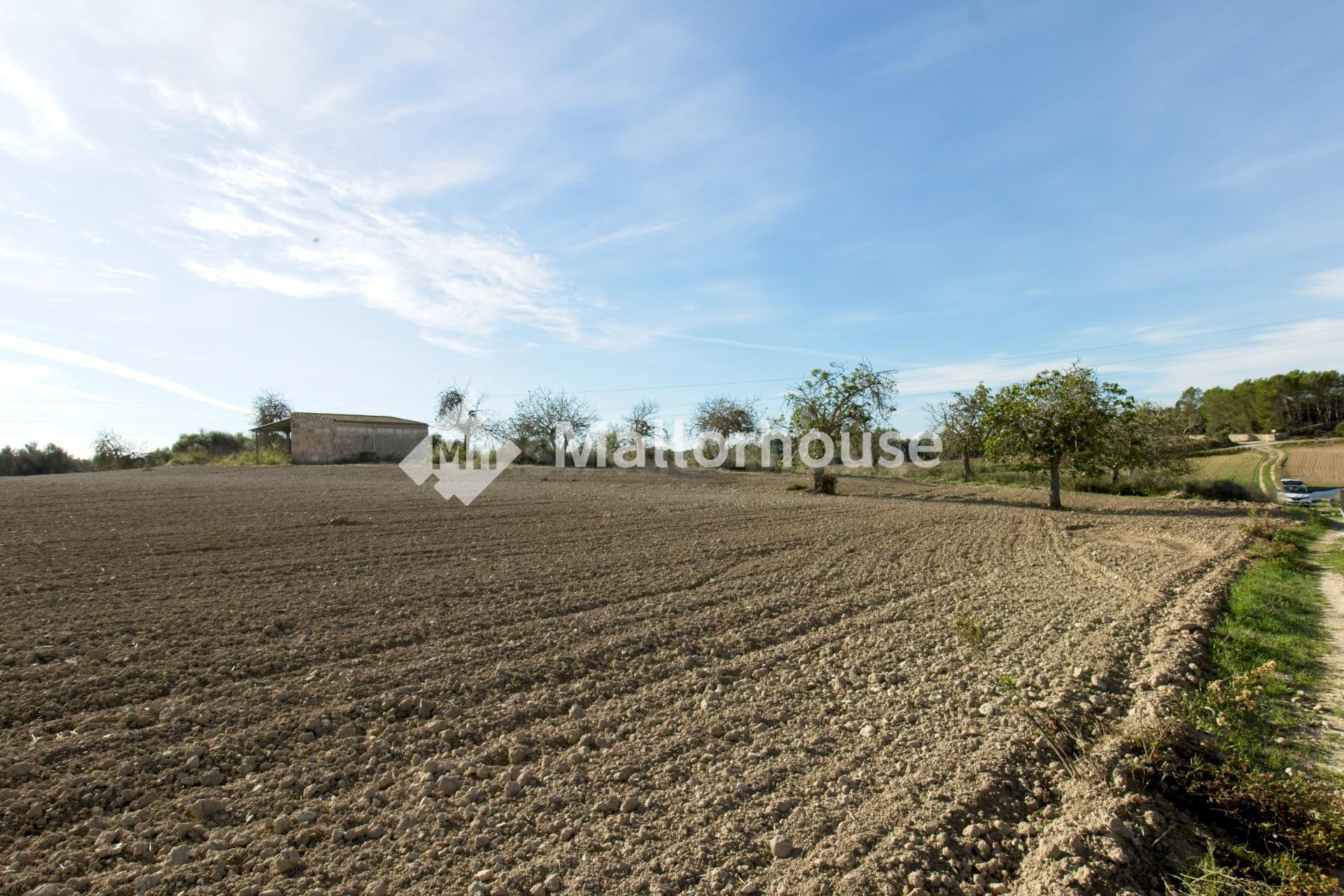 Terreno urbanizable en venta - Llubi - foto 3