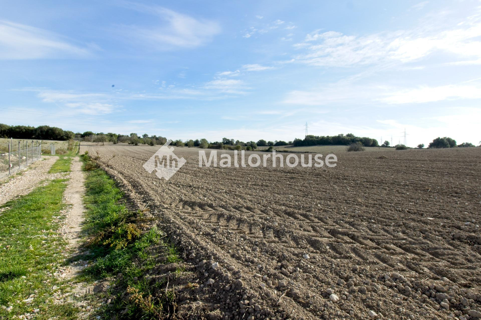 Terreno urbanizable en venta - Llubi - foto 4