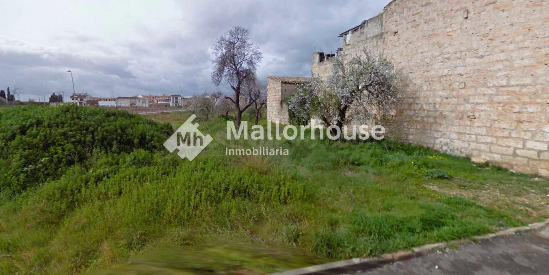 Terreno urbano en venta - Sa Pobla - foto 2