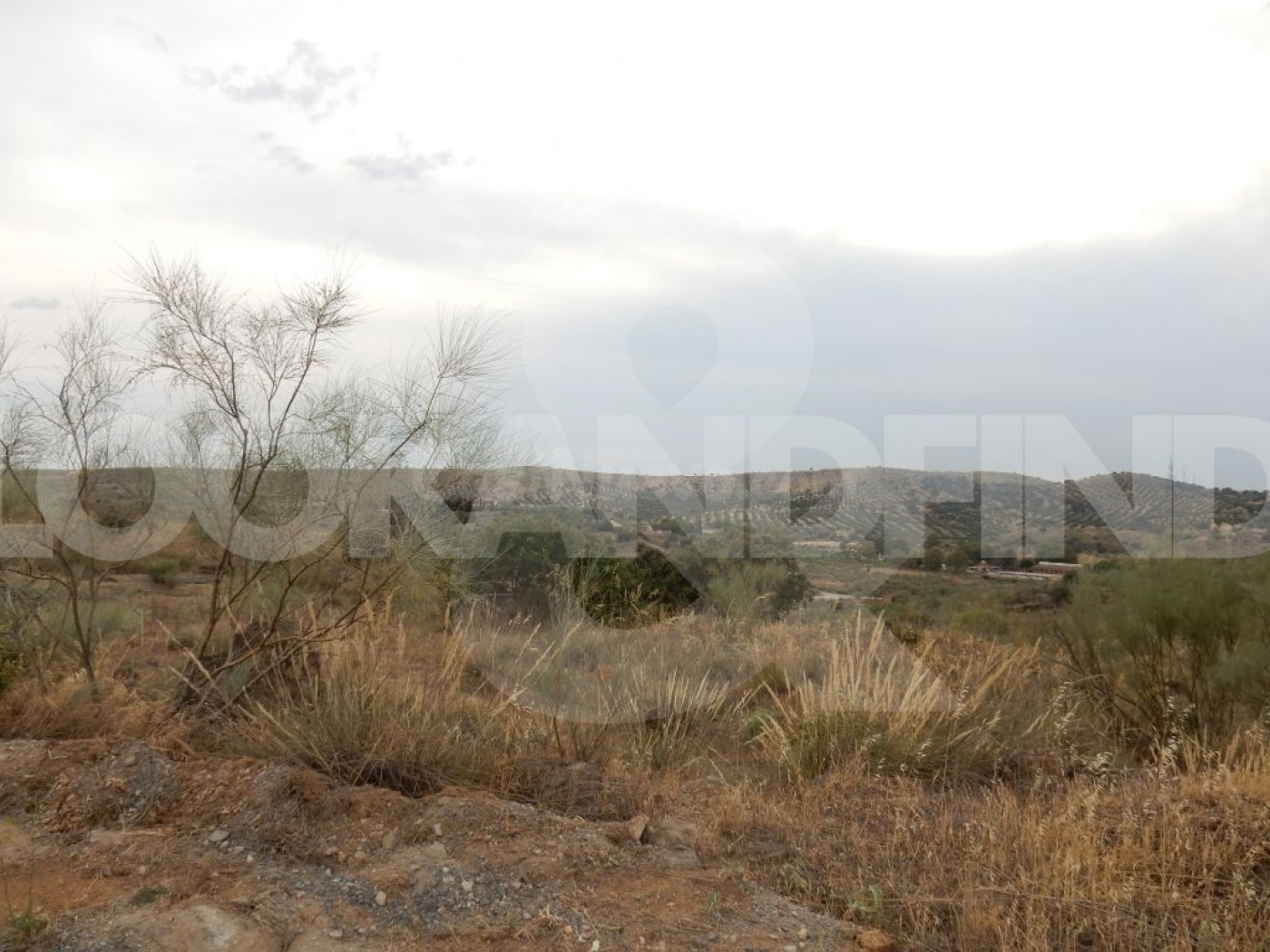 Parcelas en La Pozuela - foto 4