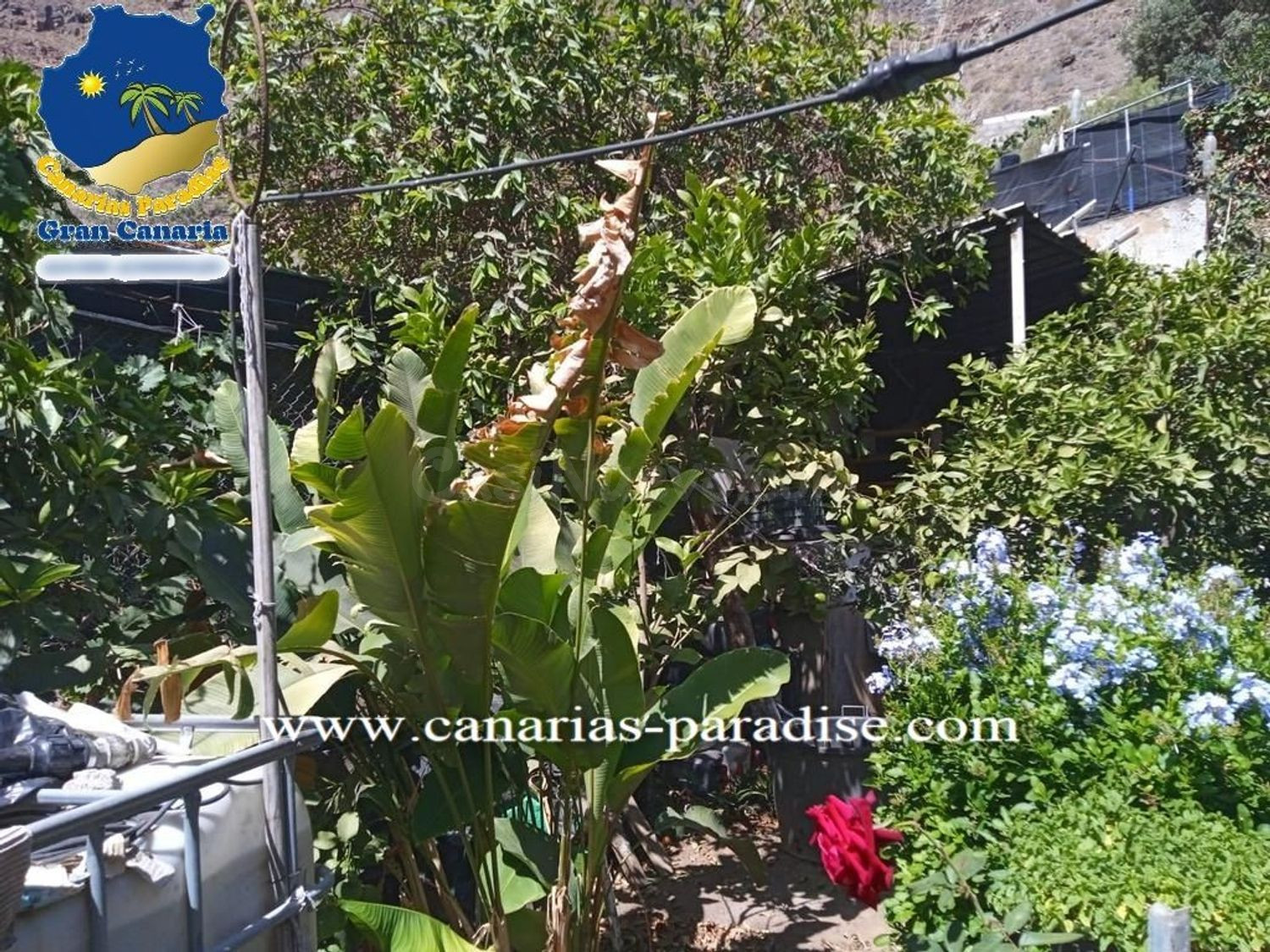 Canarias Paradise Real Estate - Casa independiente de 3 dorm - foto 2