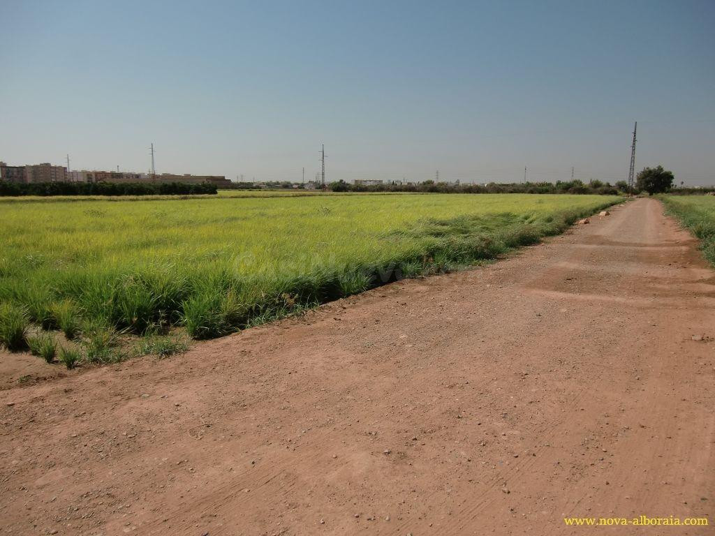 Terreno rural en venta - Huerta - foto 3