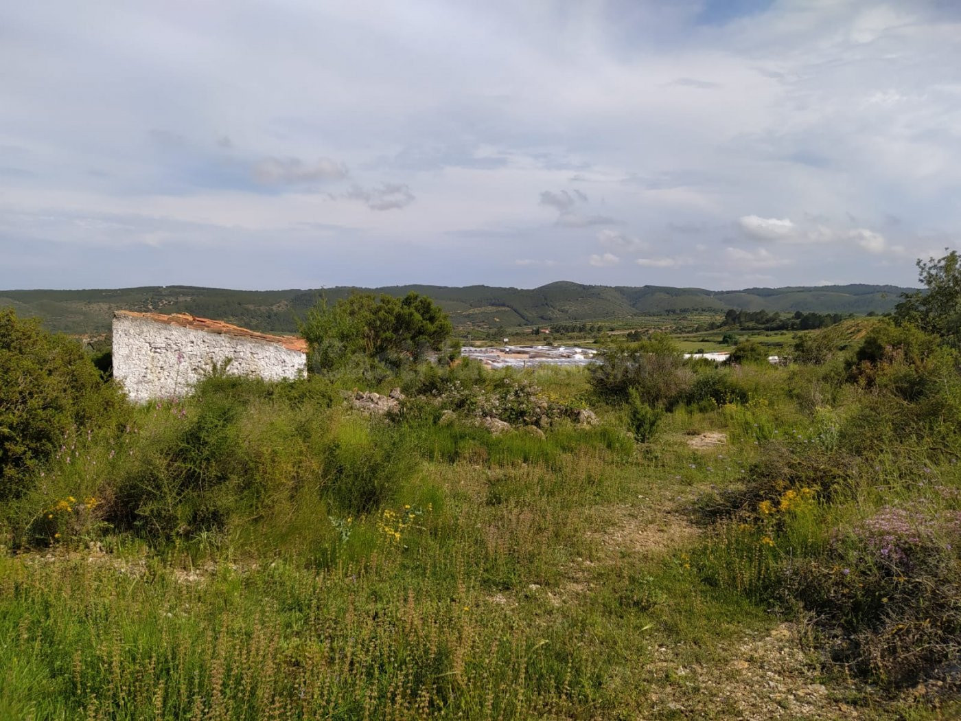 Parcela Industrial de 1.980 m2 en Les Coves de Vinroma - foto 4