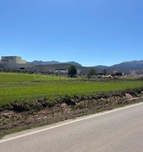 PARCELA INDUSTRIAL  DE 2.542 M2 EN VILLANUEVA DEL TRABUCO - foto 3