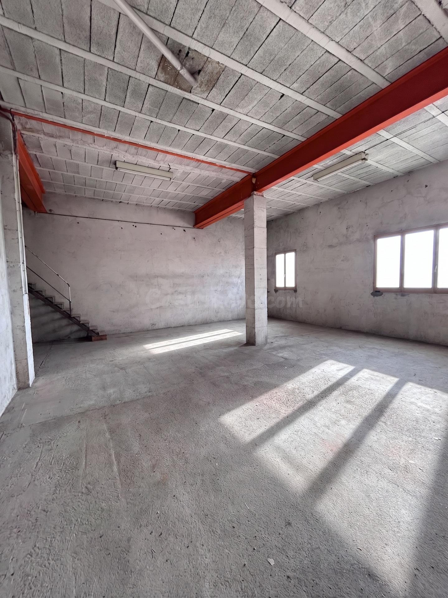 LOCAL COMERCIAL, TIENDA Y ALMACÉN EN CERVERA – GRAN OPORTUNI - foto 3