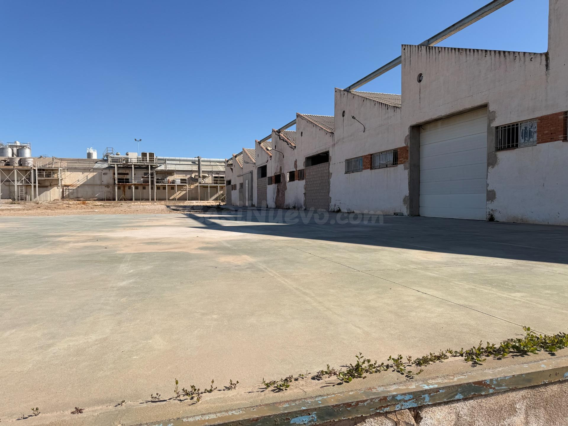 GRAN SOLAR INDUSTRIAL DE 10.265 M2 EN VALLS - foto 2