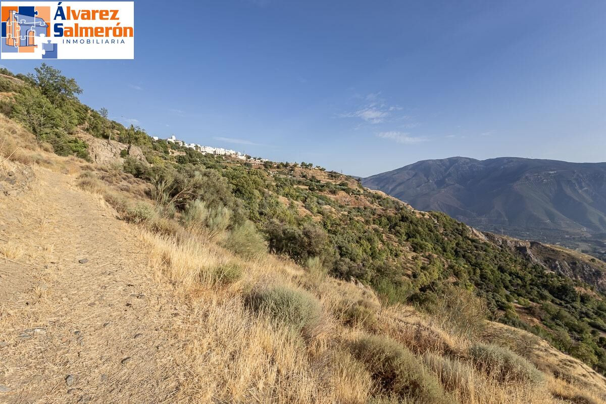 Terreno en Venta en la Alpujarra, Cañar: Oportunidad Única e - foto 4
