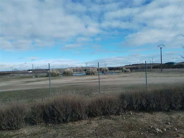 LOTE DE FINCAS RUSTICAS EN CODORNIZ, SEGOVIA - foto 3
