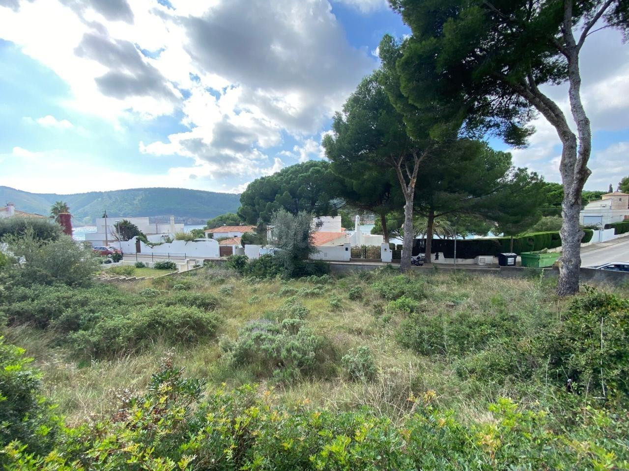 Terreno en Montgó - foto 4