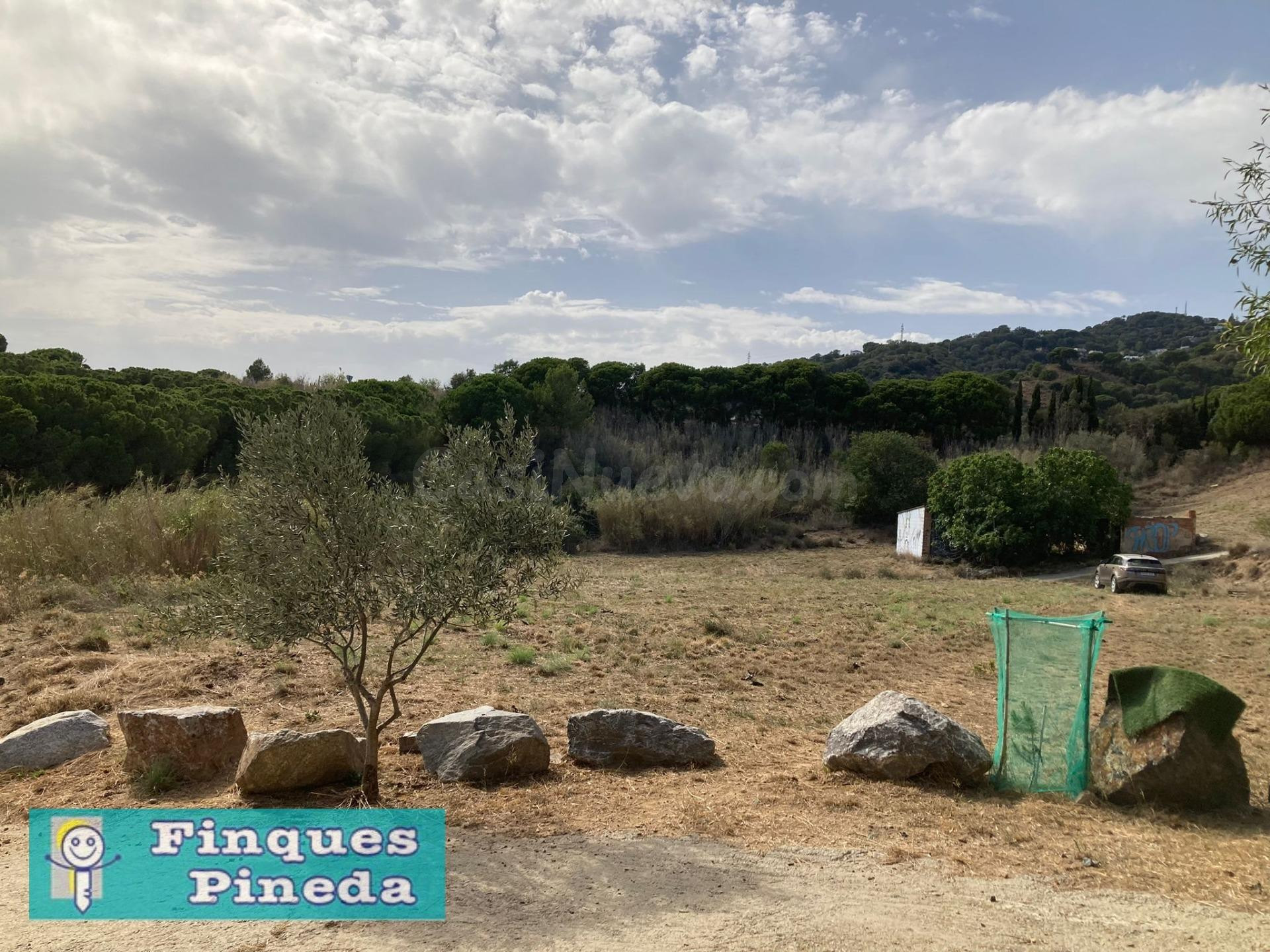 Finca rústica con suministros en Pineda de Mar
