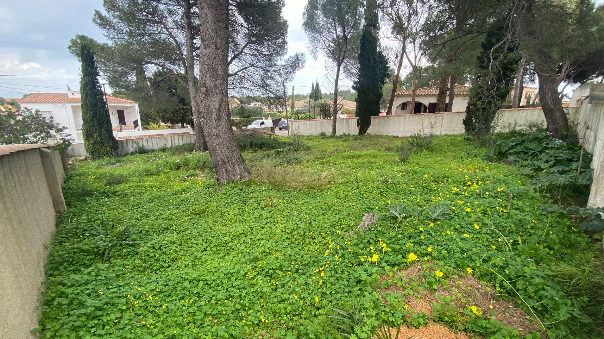 Terreno en venta en Calle Manol - foto 5