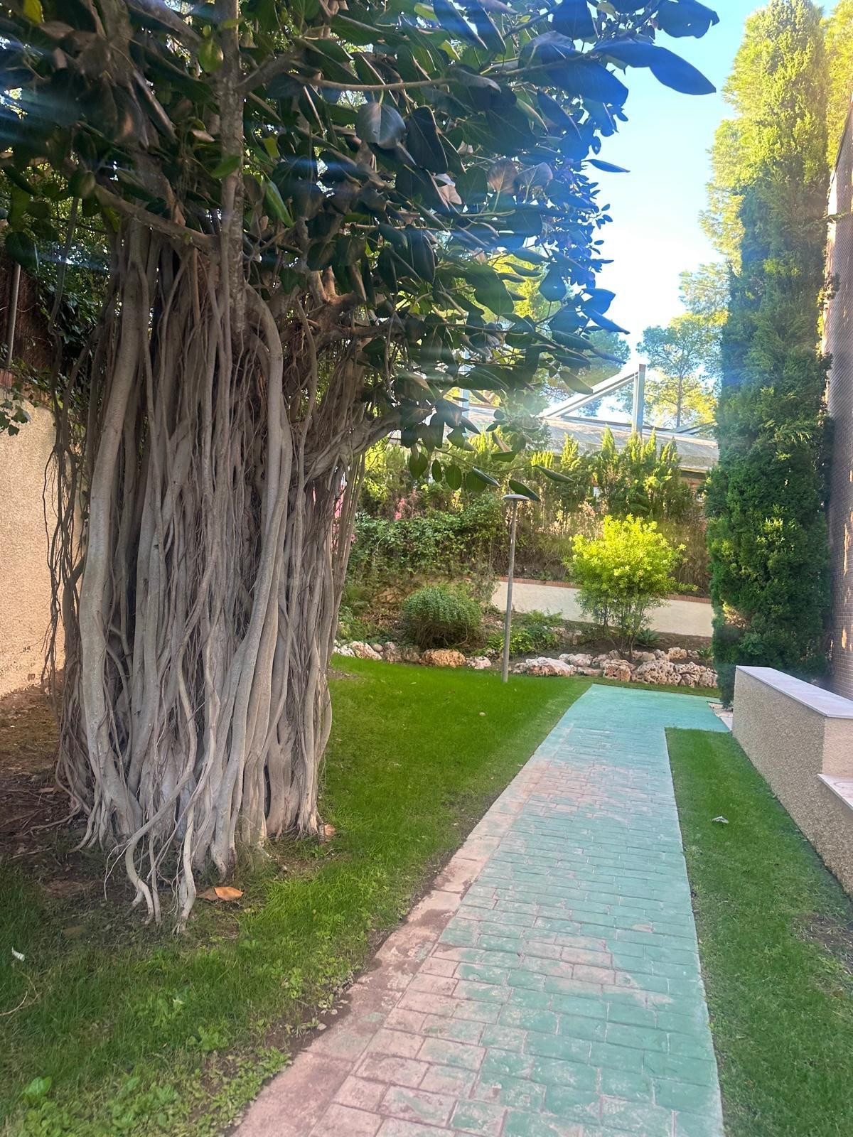 alquiler piso Campolivar - foto 2