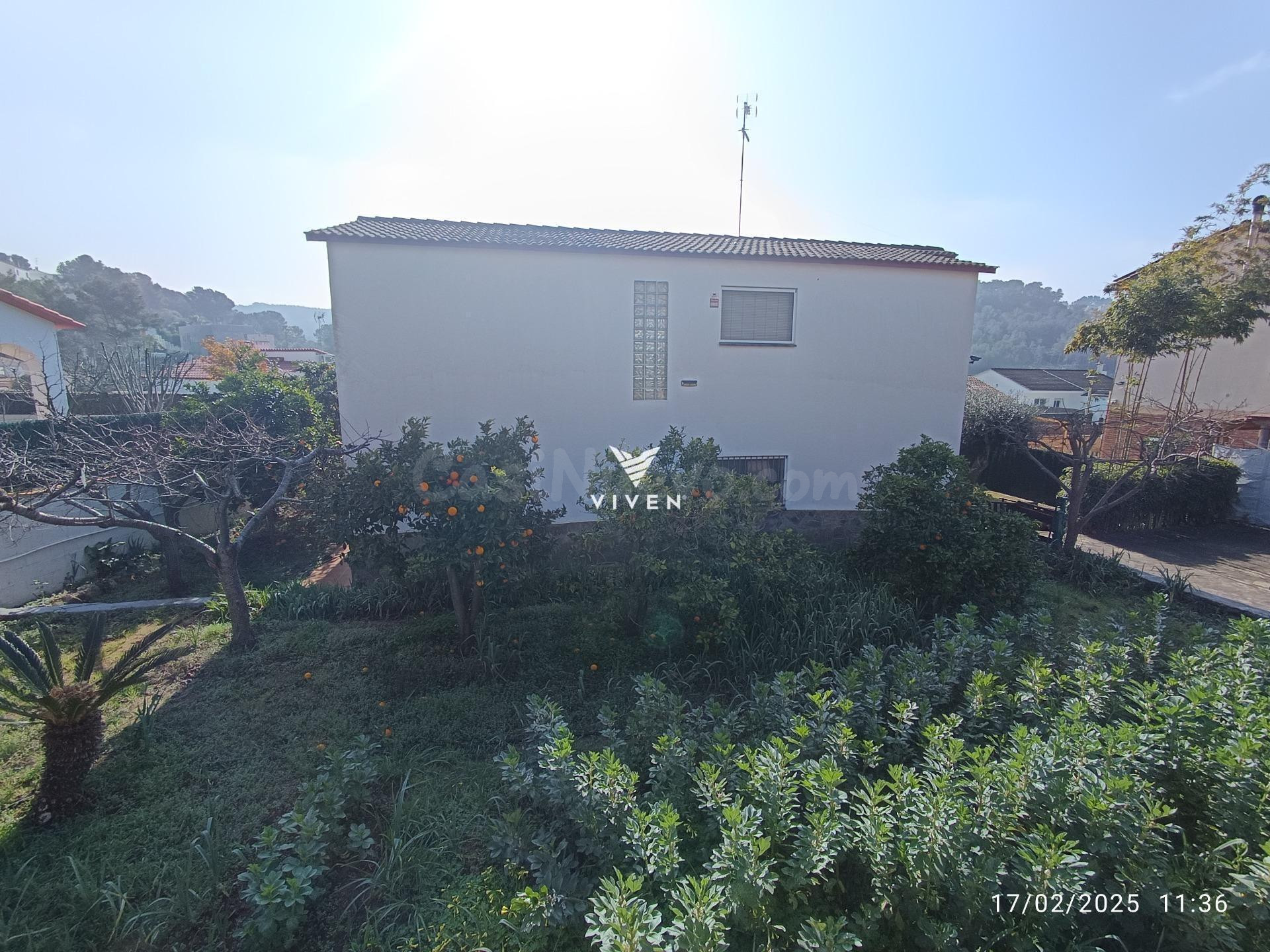Casa o chalet independiente en venta en Mas Alba - foto 2