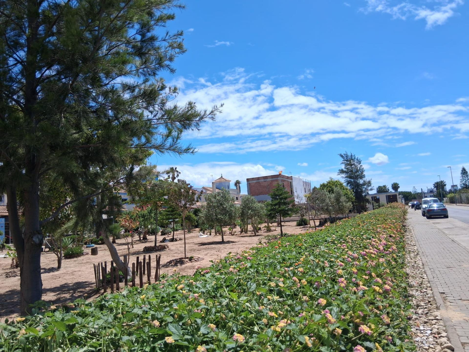 PARCELA URBANA EN LA ZONA DE LA JARA