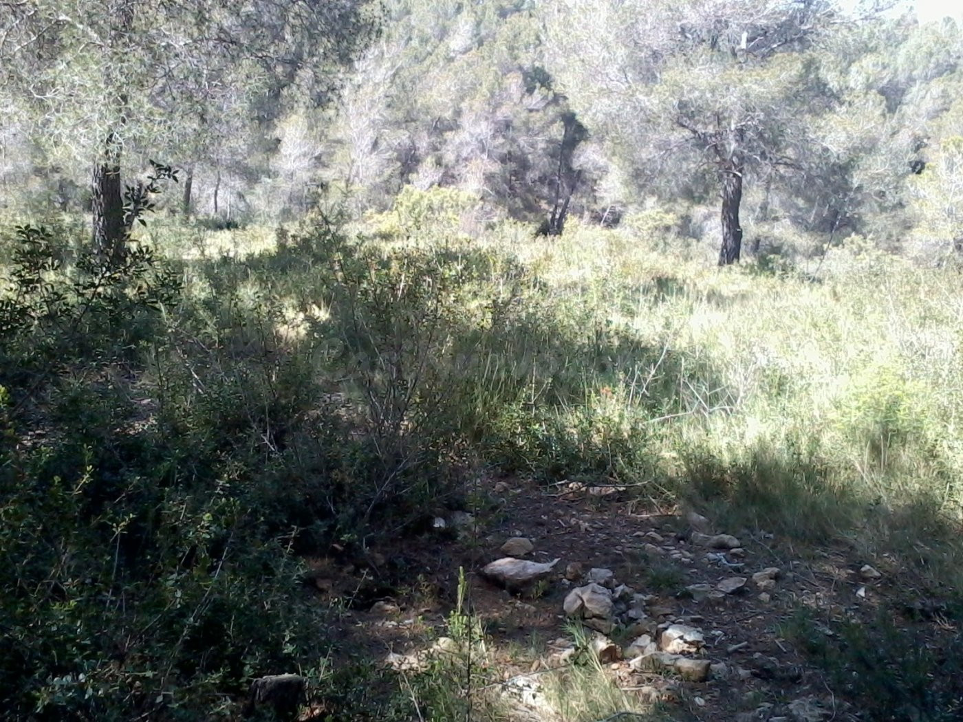 Terreno urbano en Can Gordey - La Bisbal del Penedés