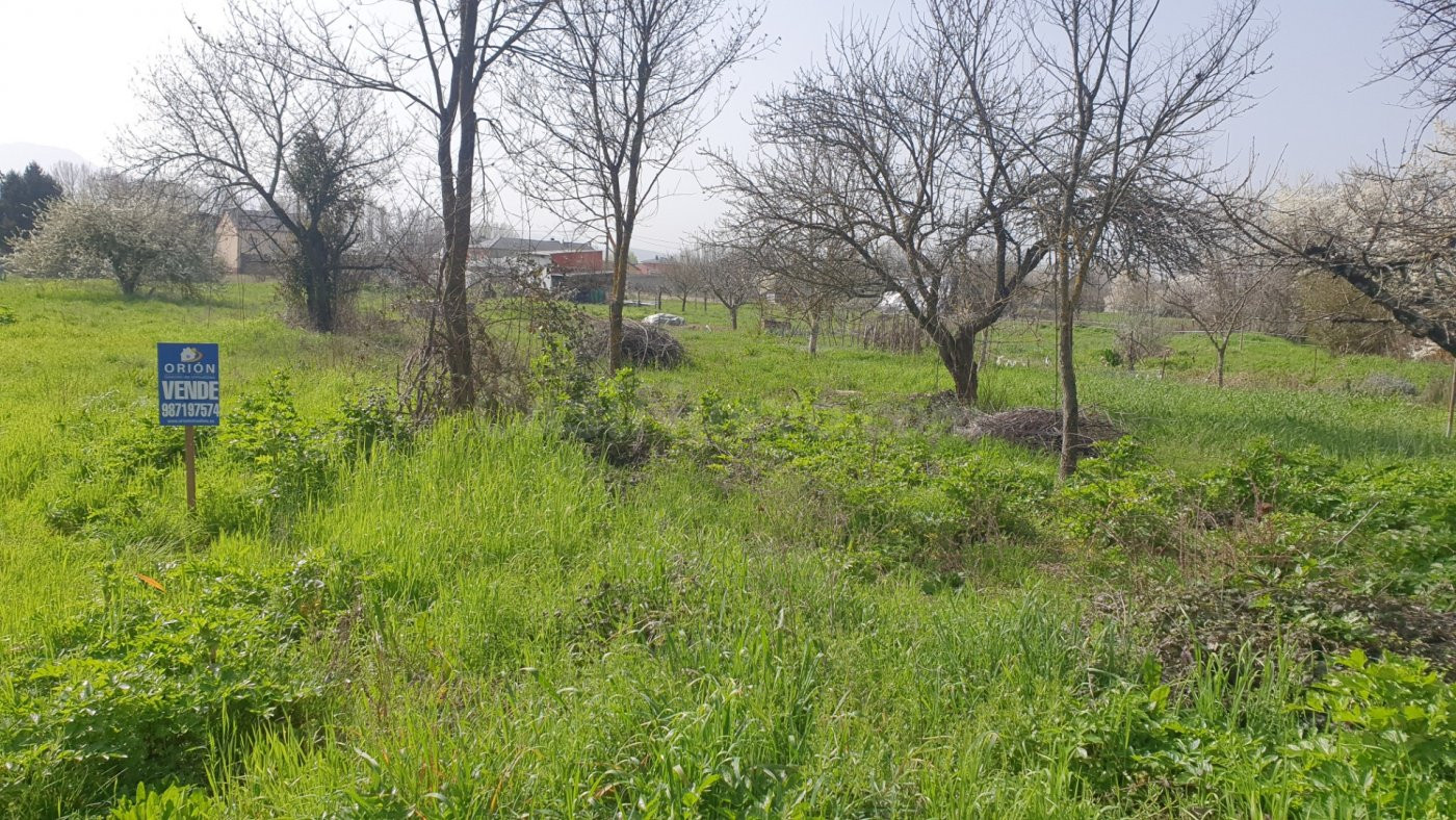SOLAR EN VENTA EN CAMPONARAYA DE 1700 M2 - foto 2