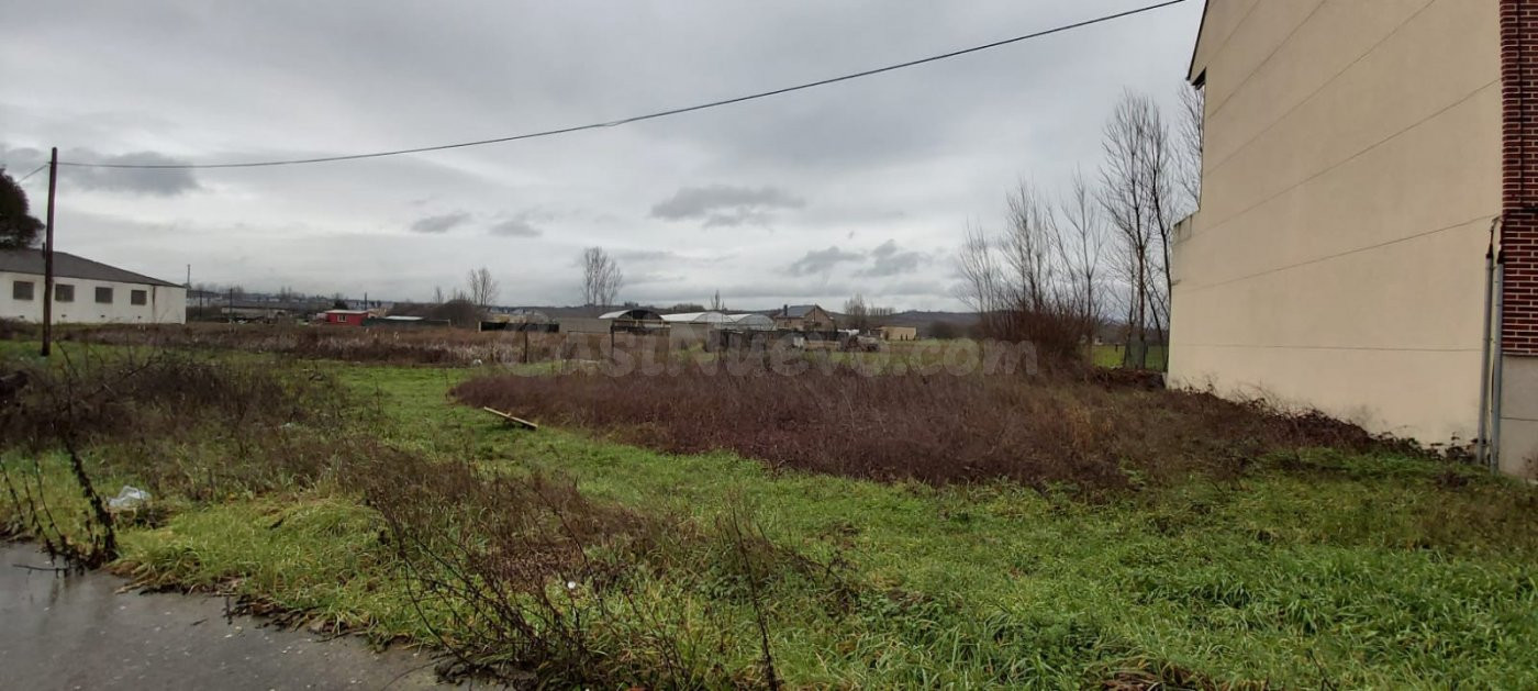 SOLAR EN VENTA EN FUENTESNUEVAS DE 489 M2 - foto 3