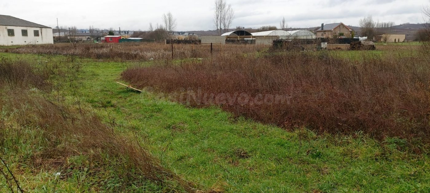 SOLAR EN VENTA EN FUENTESNUEVAS DE 489 M2 - foto 5