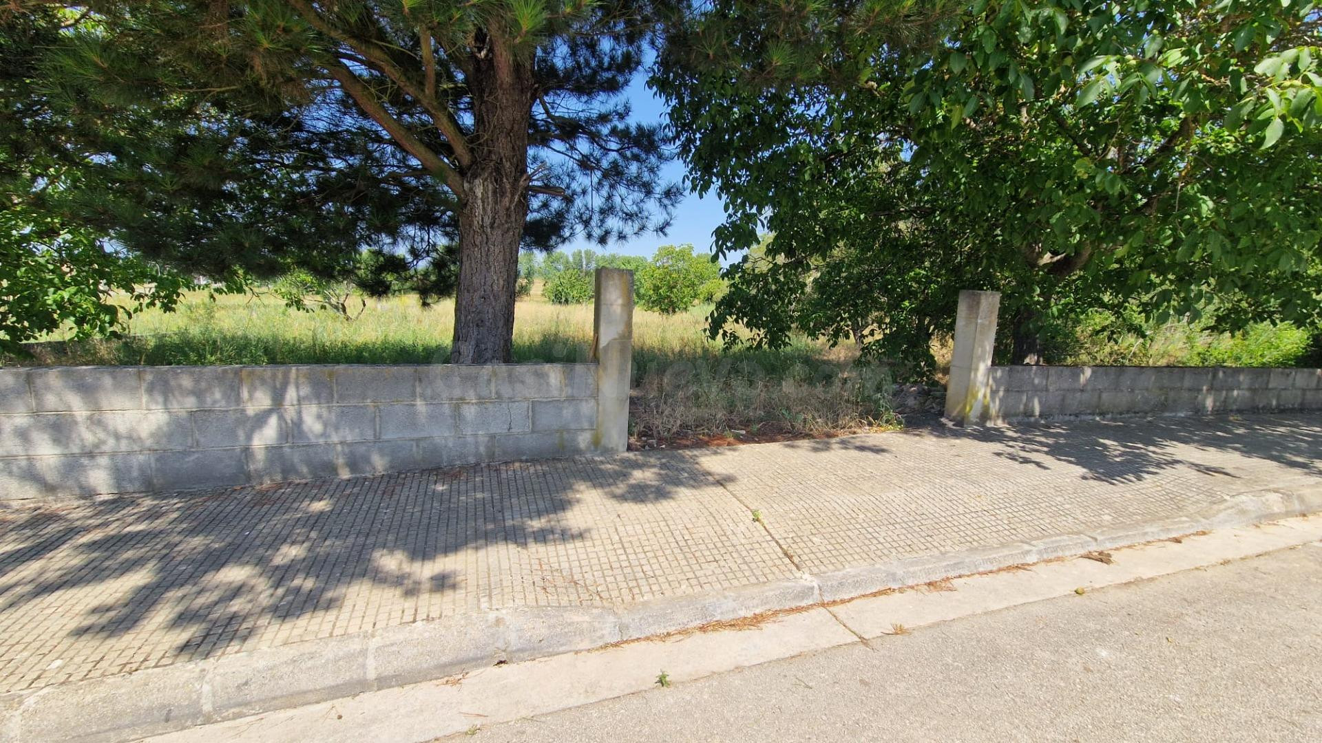 SE VENDE SOLAR DE 2500M2 EN CUBILLOS DEL SIL - foto 2