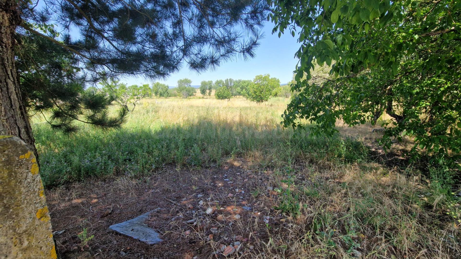 SE VENDE SOLAR DE 2500M2 EN CUBILLOS DEL SIL - foto 5