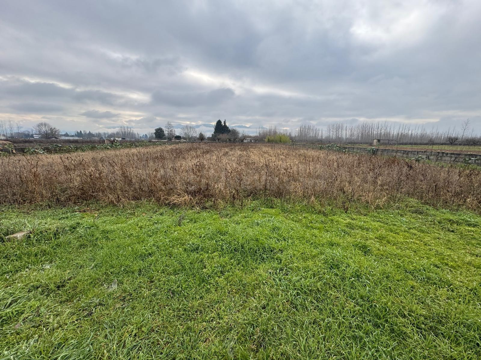 SE VENDE CASA DE APEROS DE BLOQUE DE 40M2 CON UNA FINCA DE 2 - foto 4